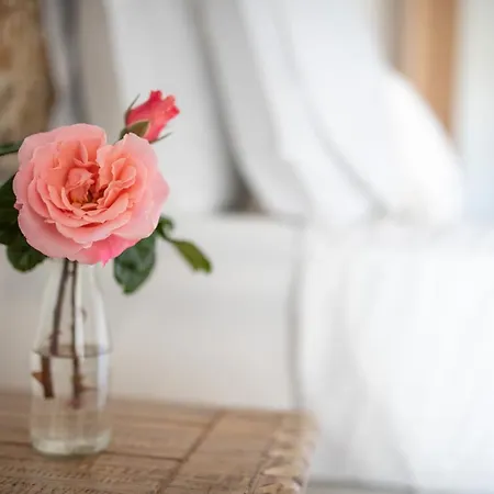 Casa de Férias Youtopia Chora (Ios)