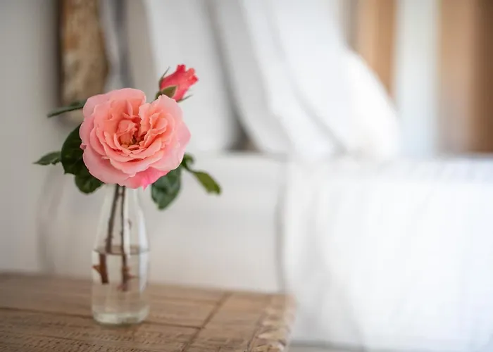 Vakantiehuis Youtopia Chora (Ios)